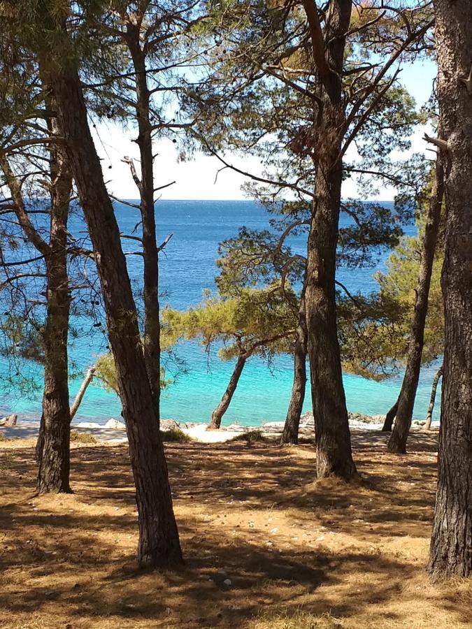 Vlasta Mali Lošinj Екстериор снимка
