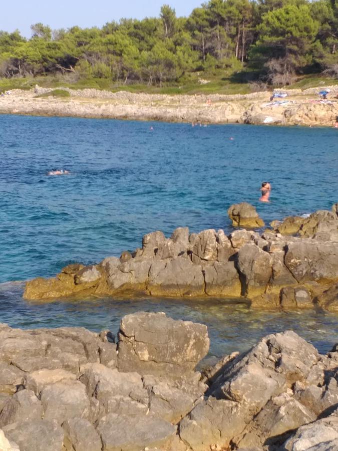 Vlasta Mali Lošinj Екстериор снимка